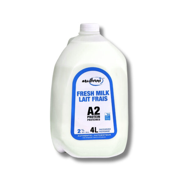 Modhani A2 Milk 2% Pasteurized 4L jug Canadian dairy